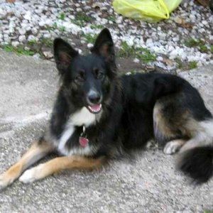 Meet your Posher, Becky